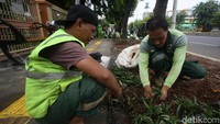 Hal itu dilakukan untuk mempercantik trotoar.