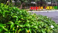Taman yang berada dekat flyover Jalan Panjang itu terlihat rapih.