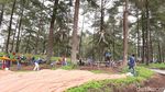 Foto: Main Trampolin Seru di Tengah Sejuknya Hutan Pinus