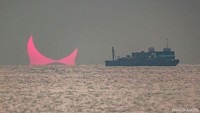 Momen langka itu berhasil ditangkap oleh seorang fotografer bernama Elias Chasiotis. Dalam penuturannya, Elias mengaku memotretnya di Qatar tepat di hari-hari terakhir tahun 2019 lalu (Elias Chasiotis/Facebook)