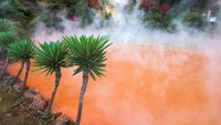 Karena lebih panas dari mata air biasa, orang Jepang dulu percaya bahwa pemandian ini pasti terkutuk. Inilah asal mula julukan Neraka dari Beppu. (iStock)