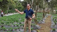 Mayat Jamaluddin ditemukan warga keesokan harinya. Tampak Jamaluddin saat masih hidup.