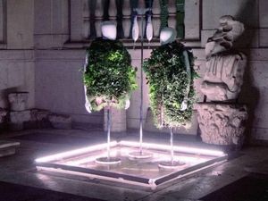 Keren! Ada Kebun Sayur Minimalis yang Bisa Tanami Puluhan Jenis Sayuran