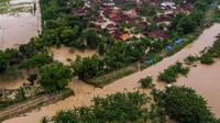 Ratusan rumah warga di Desa Trimulyo, Guntur, Kabupaten Demak langsung terendam banjir.