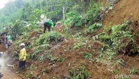 Pembersihan material tanah longsor di Sikelir, Desa Wanayasa juga mengerahkan alat berat. Hingga saat ini, evakuasi masih dilakukan. Diharapkan, jalur wisata ke Dieng bisa segera dilalui siang ini.