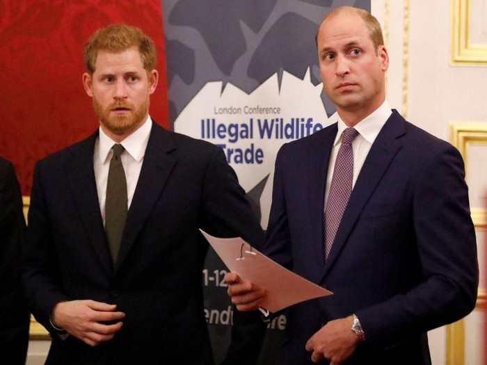 LONDON, ENGLAND - APRIL 04: (L-R) Prince Harry, Duke of Sussex, Prince William, Duke of Cambridge, Prince Charles, Prince of Wales and Sir David Attenborough attend the Our Planet global premiereat Natural History Museum on April 4, 2019 in London, England. (Photo by John Sibley - WPA Pool/Getty Images)