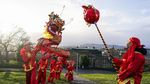 Atraksi Barongsai Siap Meriahkan Imlek di Skotlandia