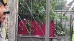Makam Lina Eks Sule Dibongkar!