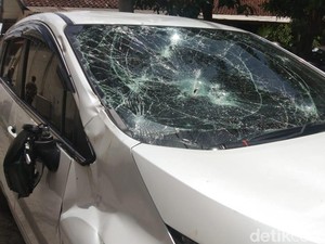 Geger Bule Tabrak Lari dan Kejar-kejaran di Jimbaran