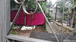 Makam Lina Eks Sule Dibongkar!
