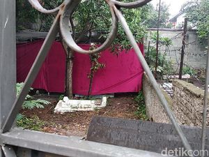 Butuh Waktu Lama untuk Tes Toksikologi, Begini Alasannya