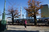 Turis berfoto dengan latar Tokyo Skytree (Syanti/detikcom)