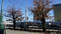 Jika traveler memiliki banyak waktu di Jepang, naiklah ke puncak Tokyo Skytree ini. Terdapat beberapa paket tiket yang bisa dipilih, yaitu ada harga tiket Tokyo Skytree paket combo seharga 3.100 Yen/ Rp 395 ribu (weekday) dan 3.400 Yen/ Rp 434 ribu (weekend) yang sudah mencakup semua lantai. (Syanti/detikcom)