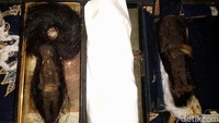 Pengelola Museum Galuh Imbanagara Rd Ilham Purwa menjelaskan asal usul dua jenglot tersebut masih misterius. Jenglot sudah ada di museum tersebut sejak lama, titipan dari keluarga keturunan bupati Galuh.