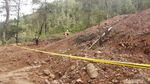 Begini Kondisi Hutan Lereng Lawu yang Dirusak untuk Wisata