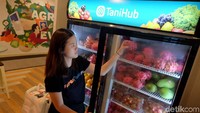 TaniGroup bergerak dalam dua lini utama yaitu TaniHub, sebuah e-commerce yang menghubungkan petani langsung dengan pembeli korporasi (supermarket, hypermarket, hotel, dan restoran), dan TaniFund, sebuah crowdfunding platform yang menyediakan sarana investasi bagi masyarakat umum serta pembiayaan bagi kelompok tani yang ingin mengembangkan usahanya.