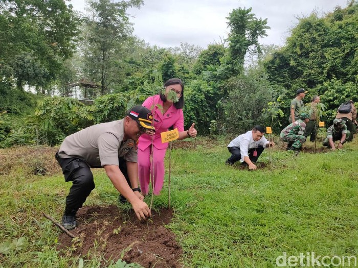 Penanaman kembali hutan yang gundul disebut