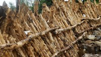 Tanggul itu diperbaiki dengan membangun tanggul sementara dari kantong pasir dan kayu dolken.