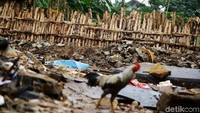 Tanggul kali itu diperbaiki usai sempat jebol beberapa waktu lalu.