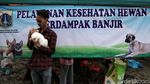 Asyik! Ada Layanan Vaksinasi Gratis Untuk Hewan Terdampak Banjir Asyik! Ada Layanan Vaksinasi Gratis Untuk Hewan Terdampak Banjir