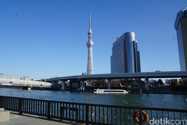 Namun bila kamu tidak ada waktu untuk naik ke menara tertinggi di dunia ini, kamu bisa menikmati ketinggiannya dari bawah saja. Yaitu dari seberang Sungai Sumida di Asakusa. (Syanti/detikcom) Namun bila kamu tidak ada waktu untuk naik ke menara tertinggi di dunia ini, kamu bisa menikmati ketinggiannya dari bawah saja. Yaitu dari seberang Sungai Sumida di Asakusa. (Syanti/detikcom)