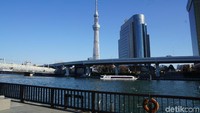 Namun bila kamu tidak ada waktu untuk naik ke menara tertinggi di dunia ini, kamu bisa menikmati ketinggiannya dari bawah saja. Yaitu dari seberang Sungai Sumida di Asakusa. (Syanti/detikcom)
