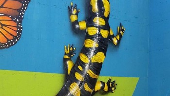 Ia berhasil menciptakan karya seni grafiti tiga dimensi yang interaktif. Foto: Caiffa Cosimo/Boredpanda