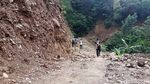 Begini Kondisi Hutan Lereng Lawu yang Dirusak untuk Wisata