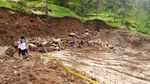 Begini Kondisi Hutan Lereng Lawu yang Dirusak untuk Wisata
