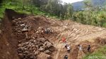Begini Kondisi Hutan Lereng Lawu yang Dirusak untuk Wisata