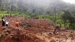 Begini Kondisi Hutan Lereng Lawu yang Dirusak untuk Wisata