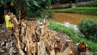 Seorang warga tengah berdiri di dekat tanggul sementara yang telah selesai diperbaiki di area sekitar Kali Pesanggrahan, Jakarta, Jumat (10/1/2020).