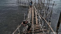 BMKG memperkirakan daerah pesisir Jakarta Utara akan mengalami air pasang maksimum pada 9 Januari hingga 11 Januari 2020.