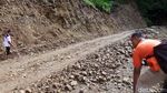 Begini Kondisi Hutan Lereng Lawu yang Dirusak untuk Wisata