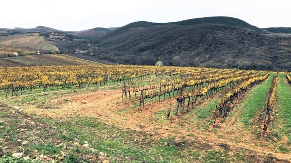 Perjalanan sehari ke sana sangatlah populer bagi para wisatawan (Foto: Royal Tokaji Wine Company/CNN) Perjalanan sehari ke sana sangatlah populer bagi para wisatawan (Foto: Royal Tokaji Wine Company/CNN)