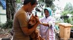 Asyik! Ada Layanan Vaksinasi Gratis Untuk Hewan Terdampak Banjir Asyik! Ada Layanan Vaksinasi Gratis Untuk Hewan Terdampak Banjir