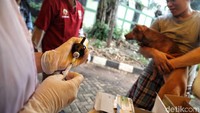 Beberapa hewan peliharaan yang diperiksa adalah anjing dan kucing yang terdampak banjir beberapa waktu lalu. Beberapa hewan peliharaan yang diperiksa adalah anjing dan kucing yang terdampak banjir beberapa waktu lalu.
