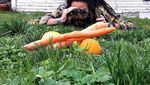 Bukan Hewan, Orang-orang Ini Malah Berburu Sayuran dan Buah dengan Pose Kocak