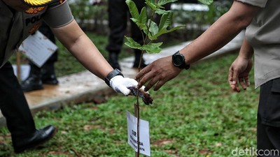 Melestarikan Alam Lewat Aksi Tanam 1000 Pohon di Jakarta Utara