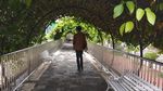 Foto: Kebun Bibit Senopati nan Instagramable di Magelang