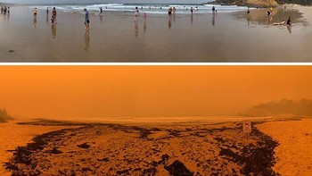 Keadaan pantai Tathra di New South Wales. Suasananya jadi merah begitu api melanda. Foto: Bored Panda