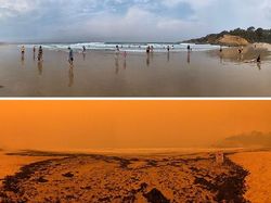 Potret Memprihatinkan Sebelum dan Sesudah Kebakaran Australia