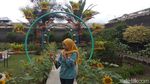 Foto: Kebun Bibit Senopati nan Instagramable di Magelang