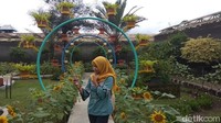 Di lokasi ini, pengunjung bisa belajar mengenali jenis tanaman hias maupun sekadar selfie (Eko Susanto/detikcom)  