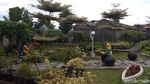 Foto: Kebun Bibit Senopati nan Instagramable di Magelang