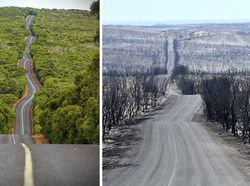 Potret Memprihatinkan Sebelum dan Sesudah Kebakaran Australia