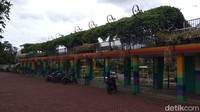 Keberadaan kebun ini juga sebagai area untuk taman baik penataan yang memadai dan mengenali jenis tanaman hias (Eko Susanto/detikcom)  