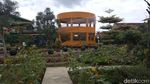 Foto: Kebun Bibit Senopati nan Instagramable di Magelang
