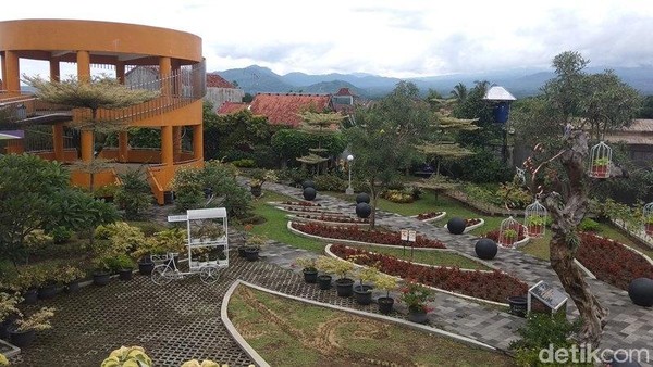 Foto: Kebun Bibit Senopati nan Instagramable di Magelang
