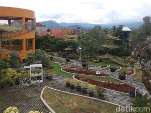 Foto: Kebun Bibit Senopati nan Instagramable di Magelang